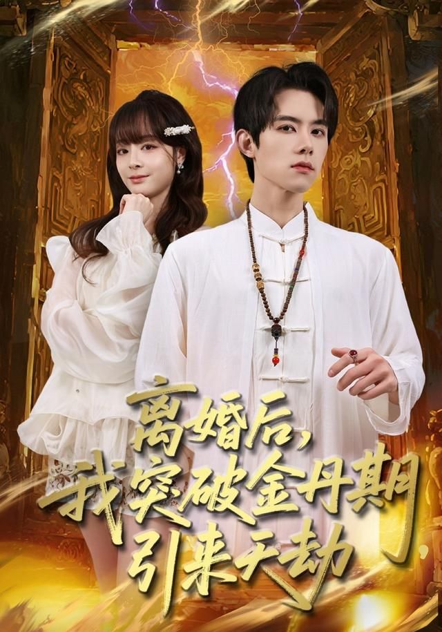 离婚后,我突破金丹期,引来天劫